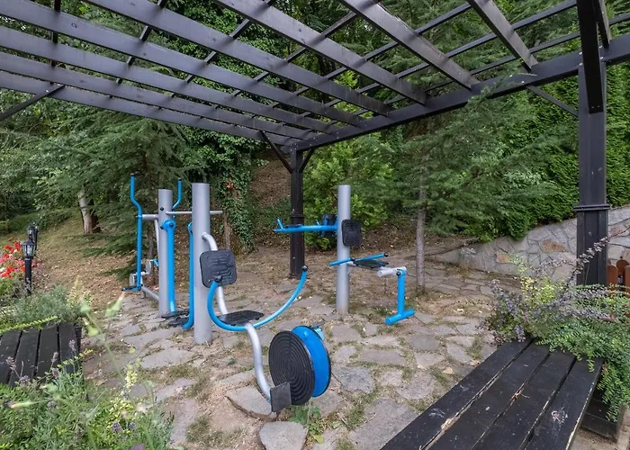 ホテル Park Asenevtsi 3*